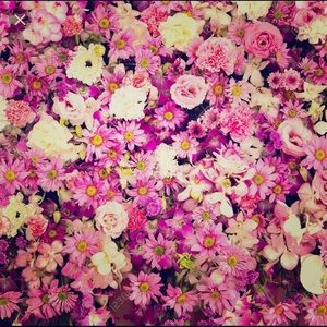 Meet your Posher, Audrey